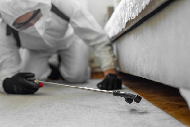 Professional Bed Bug Control technician working in Seneca County County, NY
